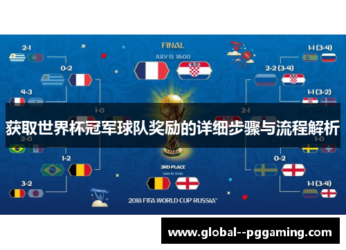 获取世界杯冠军球队奖励的详细步骤与流程解析