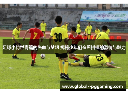 足球小将世青篇的热血与梦想 揭秘少年们奋勇拼搏的激情与魅力