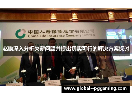 赵鹏深入分析欠薪问题并提出切实可行的解决方案探讨